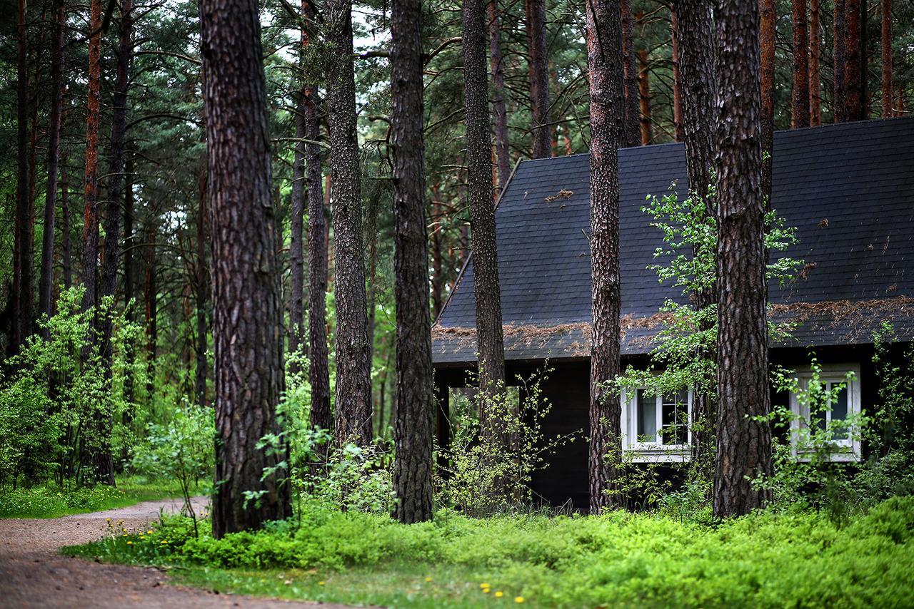 Wiatraki Nature Resort Olsztynek Esterno foto