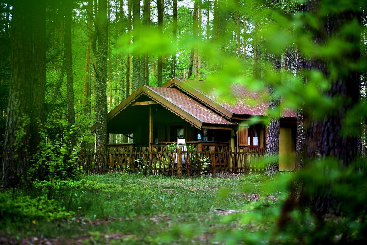 Wiatraki Nature Resort Olsztynek Esterno foto